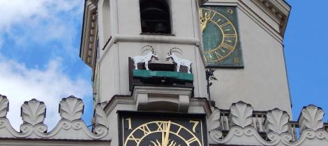 poznan-town-hall-goats