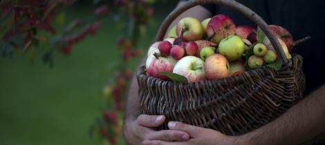 DSC_2434 jako Obiekt inteligentny-1