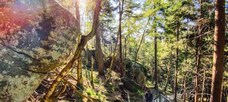 park-narodowe-stolowych-god-klodzko-poland